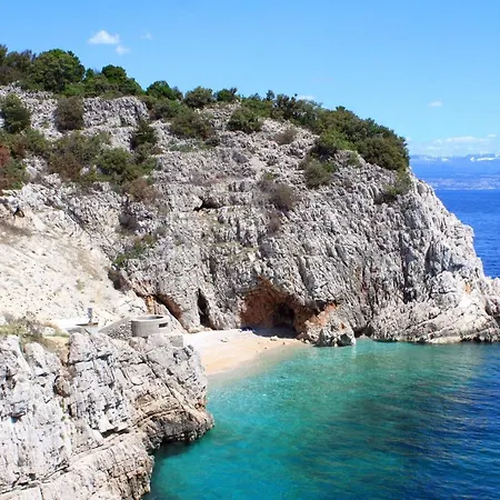 Hébergement de vacances Family Friendly House With A Parking Space Sveta Jelena, Opatija - 7729