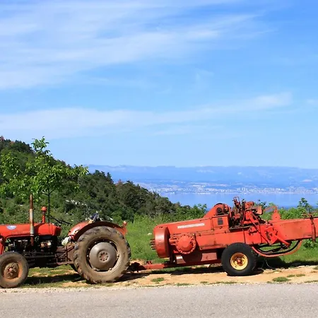 Hébergement de vacances Family Friendly House With A Parking Space Sveta Jelena, Opatija - 7729 Martina