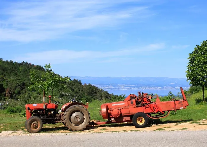 Vakantiehuis Family Friendly House With A Parking Space Sveta Jelena, Opatija - 7729 Martina